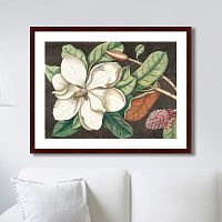 картина: beauty bloom №1, 1732г. в Ставрополе