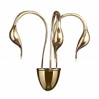 бра lightstar cigno collo 751632 в Ставрополе