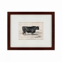 картина: a west highland bull, 1840 в Ставрополе