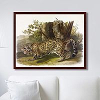 картина: jaguar, 1841г. в Ставрополе