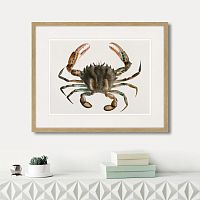 картина: marine life №2, 1725г. в Ставрополе