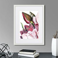 картина: himalaya plants pink-flower on white iv, 1869г. в Ставрополе