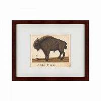 картина: bison, 1560 в Ставрополе