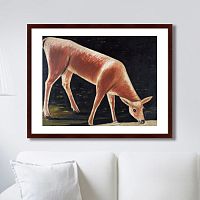 картина: roe deer drinking from a stream, 1901г. в Ставрополе