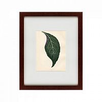 картина: the leaf, 1871 в Ставрополе