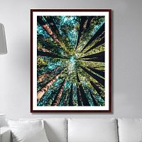 картина: deep forest в Ставрополе