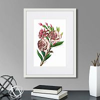 картина: caribian flora pink gardenia flower branch, 1740г. в Ставрополе