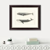 картина: the california gray whale (rhachieanectes claucus), 1857 в Ставрополе