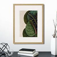 картина: exotic plants of the world №7, 1815г. в Ставрополе