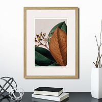 картина: exotic plants of the world №14, 1815г. в Ставрополе