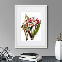 картина: caribian flora pink plumeria flower branch, 1740г. в Ставрополе