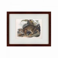картина: bobcat, 1839 в Ставрополе