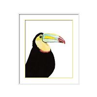 постер toucan разноцветный в Ставрополе