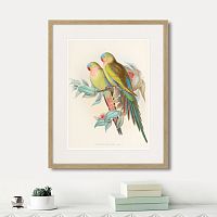 картина: love parrots, 1850г. в Ставрополе