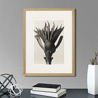 картина: botanical philosophy of forms №8, 1912г. в Ставрополе