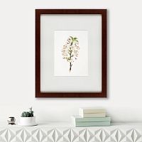 картина: pear tree flowers (pyrus calleryana), 1830 в Ставрополе
