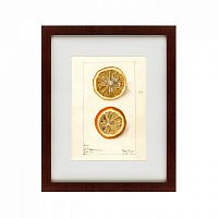 картина: watercolor collection, drawing №5, 1910 в Ставрополе