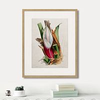 картина: exotic plants of the world №11, 1815г. в Ставрополе