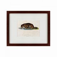 картина: a panther drinking, 1830 в Ставрополе