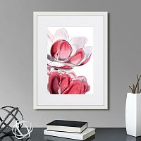 картина: himalaya plants pink-flower on white iii, 1869г. в Ставрополе