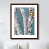 картина: trees on the galapagos islands, ecuador no1 в Ставрополе