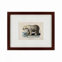 картина: white polar bear on an ice, 1830 в Ставрополе