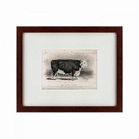 картина: a hereford bull, 1849 в Ставрополе