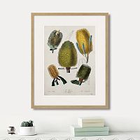 картина: exotic plants of the world №1, 1815г. в Ставрополе