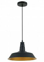 подвесной светильник odeon light kasl 3378/1 в Ставрополе