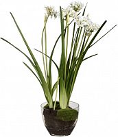 декор allium в Ставрополе
