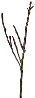 декор dry branches в Ставрополе