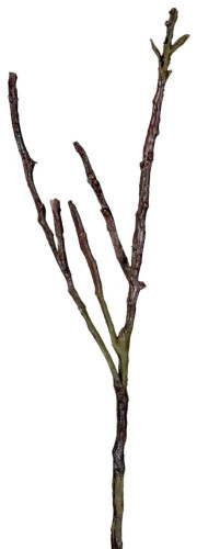 декор dry branches в Ставрополе