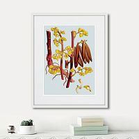 картина: himalaya plants red branch with yellow flowers, 1869г. в Ставрополе