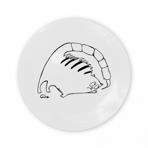 тарелка кот-скорпион в Ставрополе