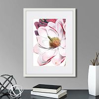 картина: himalaya plants pink-flower on white ii, 1869г. в Ставрополе