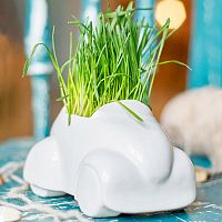 Набор для выращивания eco Машина