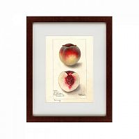 картина: watercolor collection, drawing №4, 1905 в Ставрополе