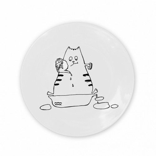 тарелка кот-водолей в Ставрополе