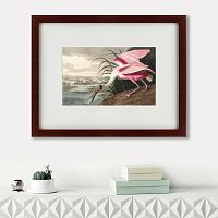 картина: roseate spoonbill, 1827 в Ставрополе