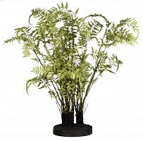декор ferns в Ставрополе