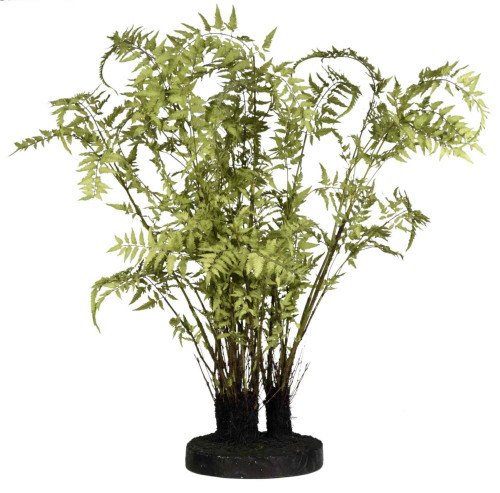 декор ferns в Ставрополе