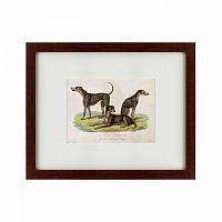 картина: three african bloodhounds, 1830 в Ставрополе