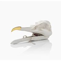 шкатулка для украшений bird skull (белый) в Ставрополе