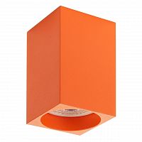 потолочный светильник denkirs dk2009-or в Ставрополе
