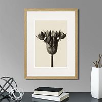 картина: botanical philosophy of forms №5, 1912г. в Ставрополе
