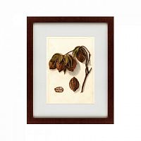 картина: watercolor collection, drawing №3, 1909 в Ставрополе