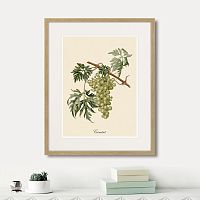 картина juicy fruit lithography №13, 1870 г., 42х52 см в Ставрополе