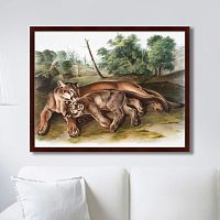картина: the cougar, 1850г. в Ставрополе