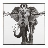 постер ornate elephant черный в Ставрополе