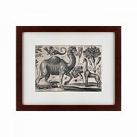 картина: a camel, 1670 в Ставрополе
